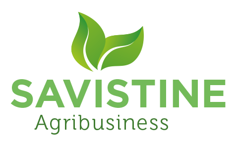 Savistine